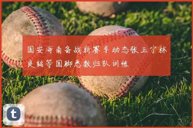国安海南备战新赛季动态张玉宁林良铭等国脚悉数归队训练