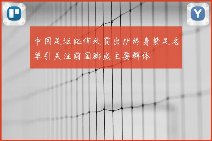 中国足坛纪律处罚出炉终身禁足名单引关注前国脚成主要群体