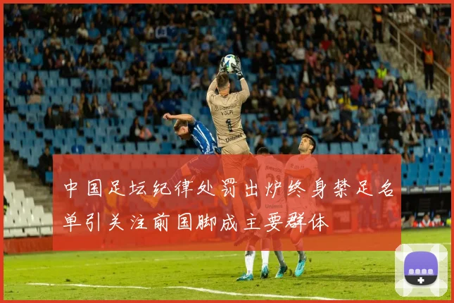 中国足坛纪律处罚出炉终身禁足名单引关注前国脚成主要群体